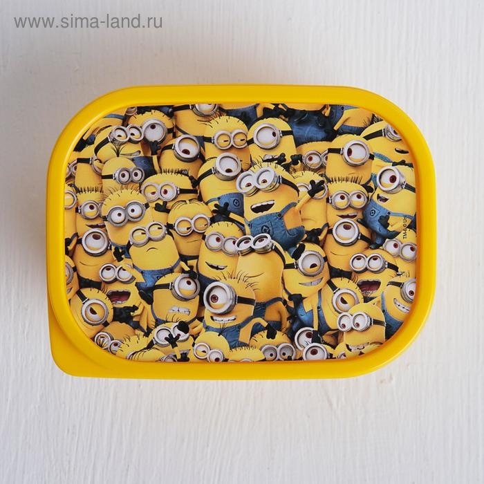 Ланч-бокс прямоугольный 0,5 л Ланч-бокс прямоугольный 0,5 л