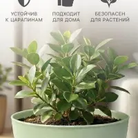Горшок для цветов &laquo;Фиалочка&raquo;, 800 мл, d=14 см, h=8 см, пластиковый, зелёный