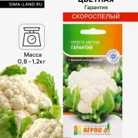 Семена Капуста цветная &laquo;Гарантия&raquo; 0.3 г, &laquo;Агросс&raquo;