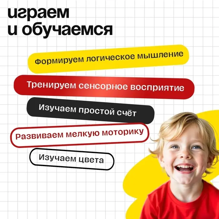 Развивающий набор &laquo;Сортер с шариками&raquo;, по методике Монтессори, 3+