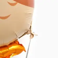 Воздушный шар фольгированный 25" &laquo;Сова учитель&raquo;