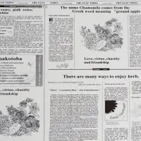 Плёнка матовая «Флористическая статья» белый, 57×57 см ±5% см