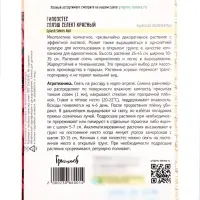 Семена цветов Гипоэстес &laquo;Сплэш Селект Красный&raquo;. Splash Select Red, 4 шт., &laquo;Григорьев&raquo;