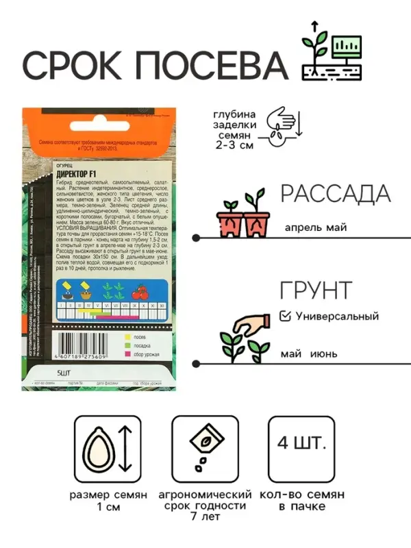 Семена огурца "Директор", F1, 4 шт.