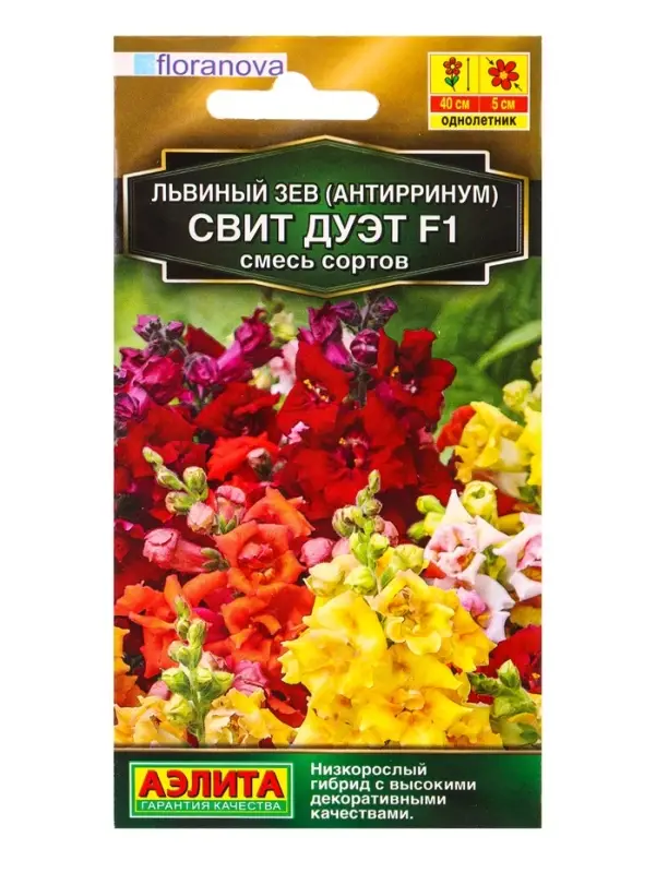 Семена цветов Львиный зев Свит дуэт F1, смесь сортов С. Floranova Золотая серия, Ц/П,7 шт. Семена цветов Львиный зев Свит дуэт F1, смесь сортов С. Floranova Золотая серия, Ц/П,7 шт.