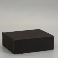 Коробка складная &laquo;Черная&raquo;, 27 х 21 х 9 см