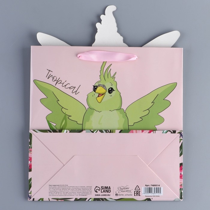 Пакет подарочный, упаковка, «Попугай», 22 х 22 х 10 см Пакет подарочный, упаковка, «Попугай», 22 х 22 х 10 см