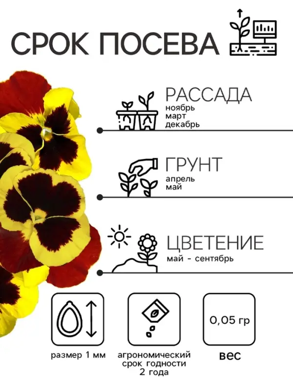 Семена Виола "Майя Виттрока", ц/п,  0,05 г