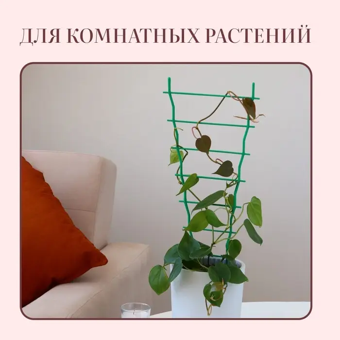 Шпалера, 54 × 19 × 0.5 см, пластик, МИКС Шпалера, 54 × 19 × 0.5 см, пластик, МИКС