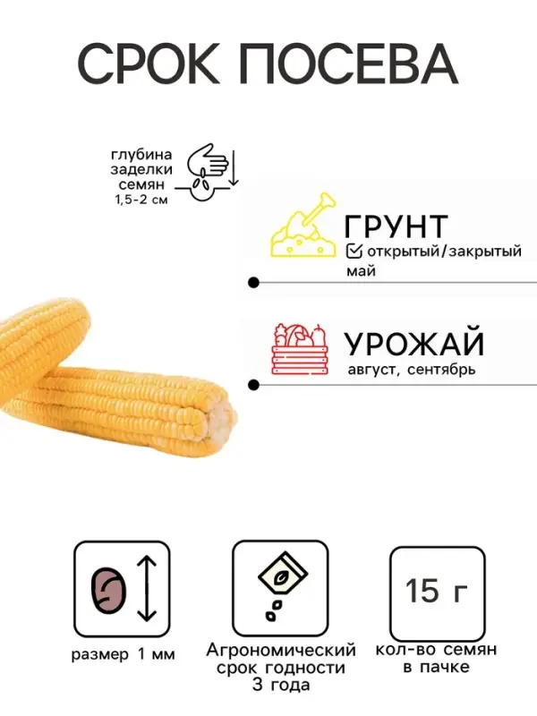 Семена Кукуруза 1+1 &laquo;Краснодарский сахарный 250&raquo;, F1, 15 г, &laquo;Гавриш&raquo;