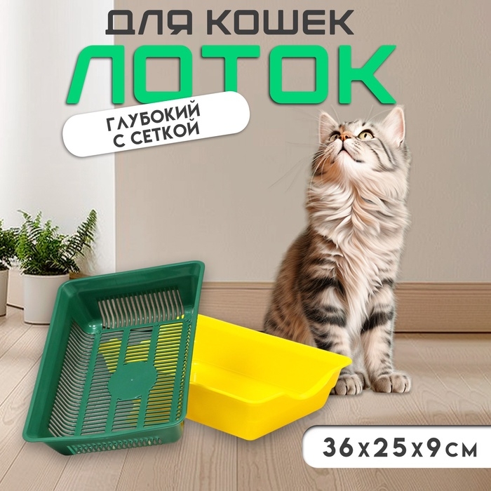 Туалет глубокий с сеткой 36 х 25 х 9 см, зелёный/жёлтый Туалет глубокий с сеткой 36 х 25 х 9 см, зелёный/жёлтый