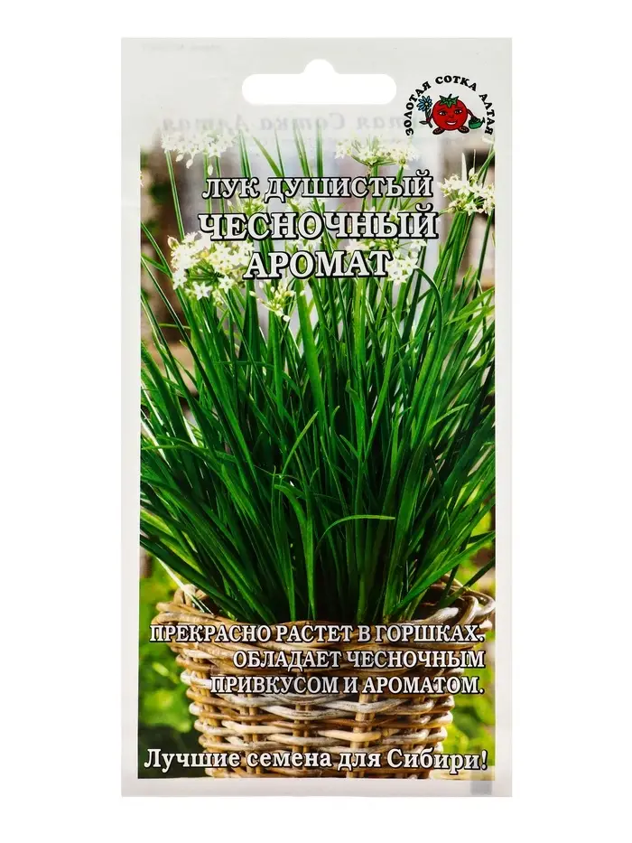 Семена Лук Душистый Чесночный аромат /Сотка/ 0,3г/среднесп. 35-50см /*1000 Семена Лук Душистый Чесночный аромат /Сотка/ 0,3г/среднесп. 35-50см /*1000