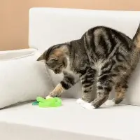 VETTA Игрушка для домашних животных, ПЭ