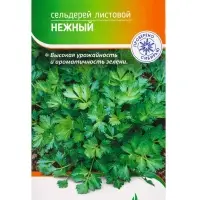 Семена Сельдерей "Нежный" 1 г Семена Сельдерей "Нежный" 1 г