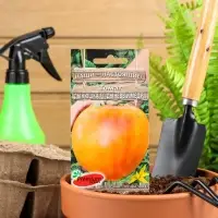 Семена Томат &laquo;Дынюшка&raquo;, F1, индетерминантный, высокорослый, 10 шт., Premium seeds