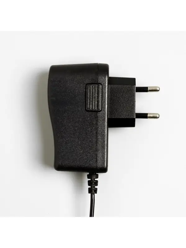 Гирлянда &laquo;Конский хвост&raquo; 10 нитей по 2 м, IP20, серебристая нить, 200 LED, свечение белое, 12 В