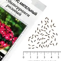 Семена цветов Катарантус ампельный &laquo;Медитерранен розовый&raquo;, 5 шт.