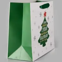 Пакет подарочный &laquo;Новогодний подарок&raquo;, Ml 23&times;27&times;11.5 см