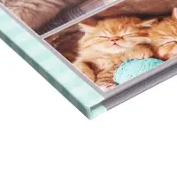 Дневник универсальный для 1-11 классов, &laquo;Котята&raquo;, твердая обложка 7БЦ, глянцевая ламинация, 40 листов
