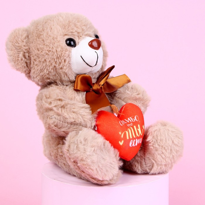 Мягкая игрушка «Спасибо, что ты есть», 22 см., МИКС