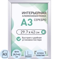 Рамка 297х420, серебро, метал., с клик профилем, ПЭТ стекло, 2011_03_72_045