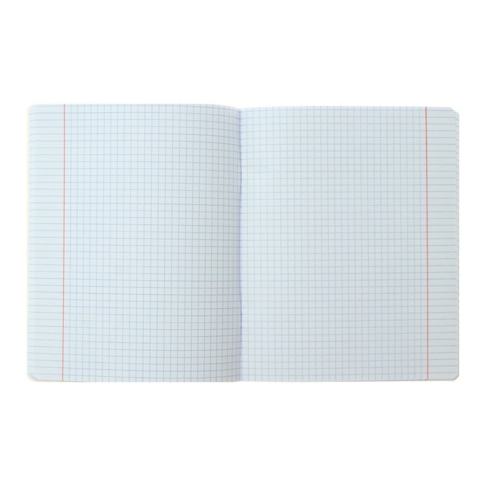 Тетрадь 48 листов в клетку Тетрадь 48 листов в клетку "Мопс LIFE", обложка мелованный картон, блок 65 г/м2, МИКС