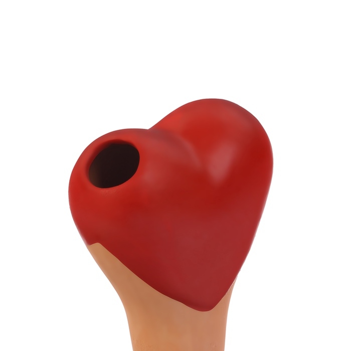 Ороситель «Сердечко», 14×4.6см, цвет МИКС, набор 4 шт. Ороситель «Сердечко», 14×4.6см, цвет МИКС, набор 4 шт.