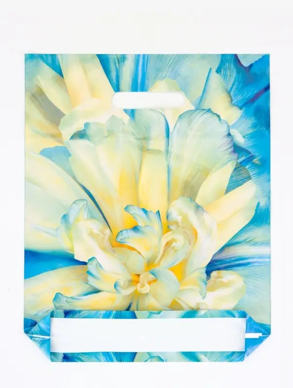 Пакет подарочный &laquo;Молли&raquo;, полиэтиленовый с вырубной ручкой, 30&times;37 см, 90 мкм