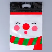 Пакет подарочный, с zip - lock застежкой, «Снеговик», 15×23±1 см