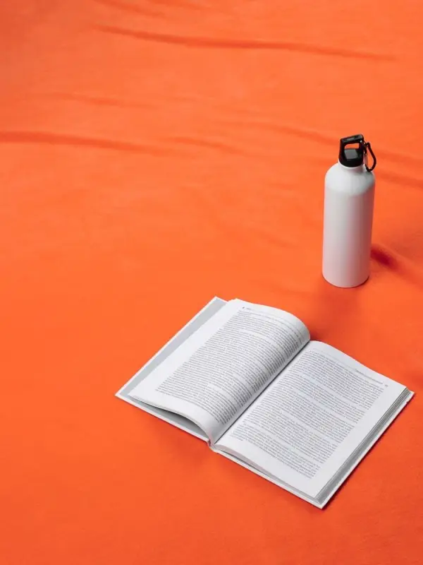 Дорожный плед Voyager 2, оранжевый