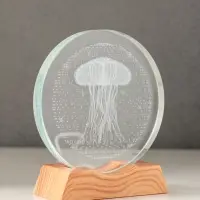 Сувенир стекло свет "Диск. Медуза" 5хLED d=10 см, USB 10х4х11,4 см Сувенир стекло свет "Диск. Медуза" 5хLED d=10 см, USB 10х4х11,4 см