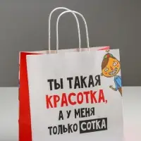 Пакет подарочный, упаковка, &laquo;Красотка&raquo;, 22&times;22&times;11 см