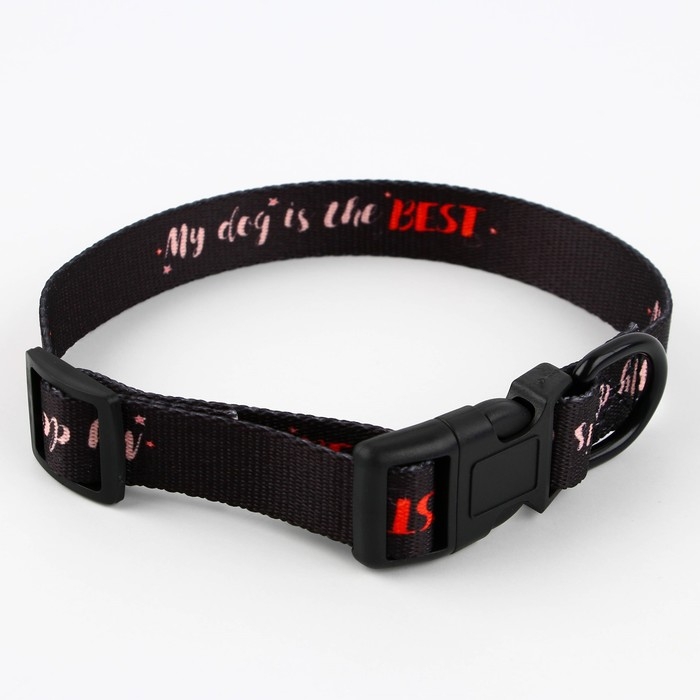 Ошейник My dog is the best, застёжка - фастекс, 2 см 25-40 см Ошейник My dog is the best, застёжка - фастекс, 2 см 25-40 см