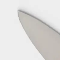 Нож Professional Master для мяса, длина лезвия 25 см