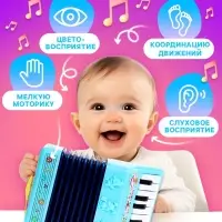 Музыкальная гармошка &laquo;Весело поём&raquo;, цвета МИКС