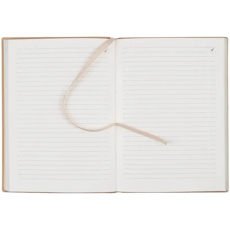 Ежедневник Anaconda, недатированный, золотистый