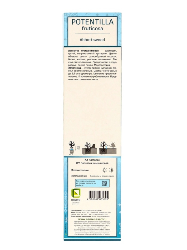 Лапчатка кустарниковая (Серия Северный сад) «Эбботсвуд» саженец, декоративный, цветущий, 1 шт., туба