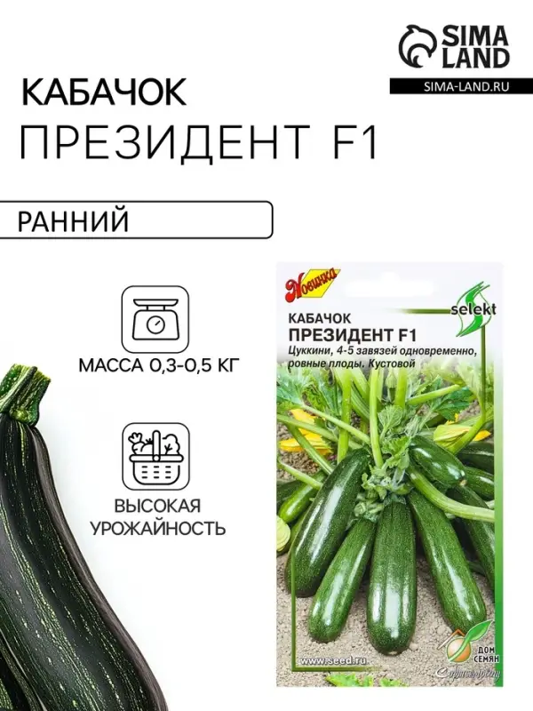 Семена Кабачок &laquo;Президент&raquo;, F1, 5 шт., &laquo;Дом семян&raquo;