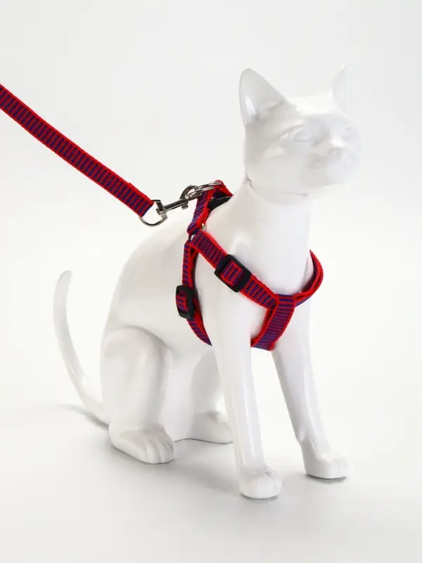 Комплект амуниции рельефный, поводок 120&times;1.5 см, ОГ 36-49 см, красно-синий