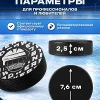 Шайба хоккейная Winter Star, взрослая, d=7.6 см