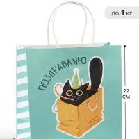 Пакет подарочный &laquo;Поздравляю&raquo;, 22&times;22&times;11 см