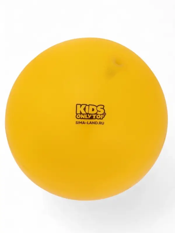 Мяч детский «Пёсик», d=22 см, МИКС Мяч детский «Пёсик», d=22 см, МИКС