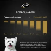 Влажный корм Cesar для собак, паштет с ягнёнком, пауч, 80 г Влажный корм Cesar для собак, паштет с ягнёнком, пауч, 80 г