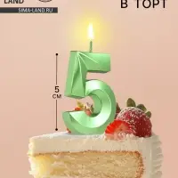 Свеча в торт на шпажке «Цифра 5», зеленая, 5 см