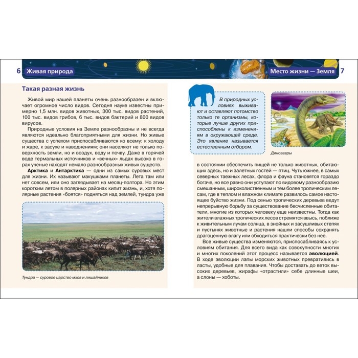 Детская энциклопедия «Живая природа» Детская энциклопедия «Живая природа»