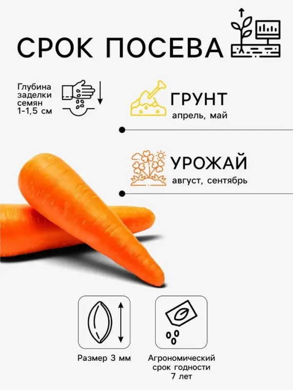 Семена Морковь &laquo;Балтимор&raquo;, F1, 0.5 г, &laquo;Престиж семена&raquo;