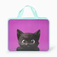 Папка для труда, А4, пластиковая, 33&times;26&times;7.5 см &laquo;Котик черный&raquo; МИКС