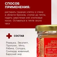 Барсучий жир &laquo;Святая Рука&raquo; при простуде, гриппе и кашле, 30 мл