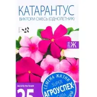 Семена цветов Катарантус Виктори смесь, однолетник, 10 шт