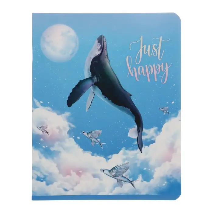 Тетрадь 48 листов в линию &laquo;Девочки&raquo;, обложка мелованный картон, блок офсет, МИКС